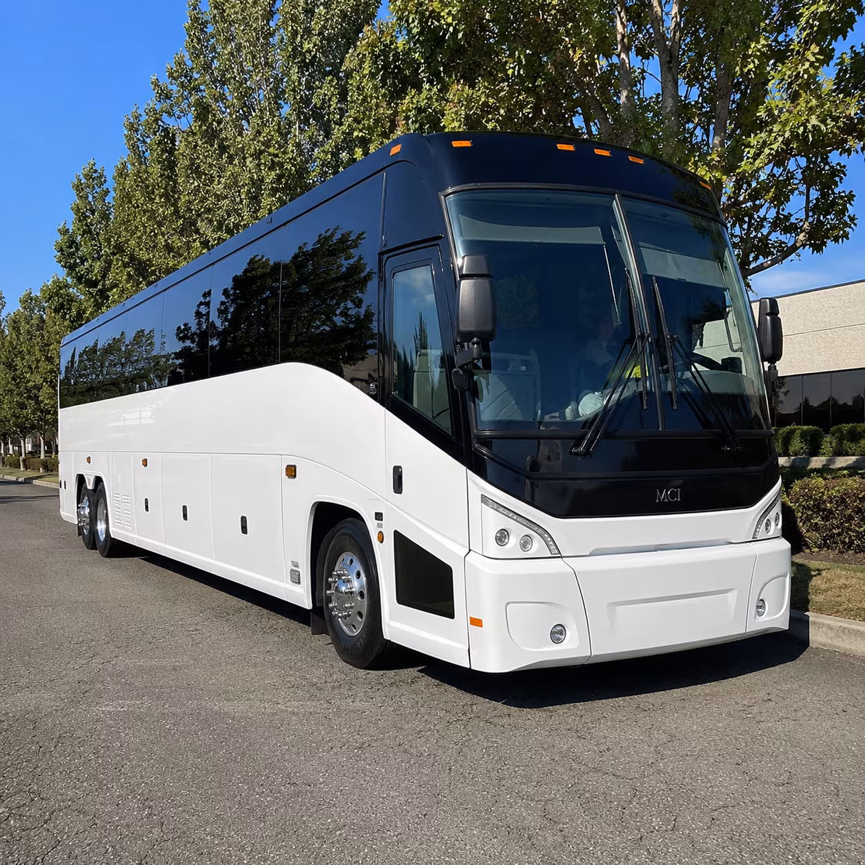 mckinney 50 passenger charter bus