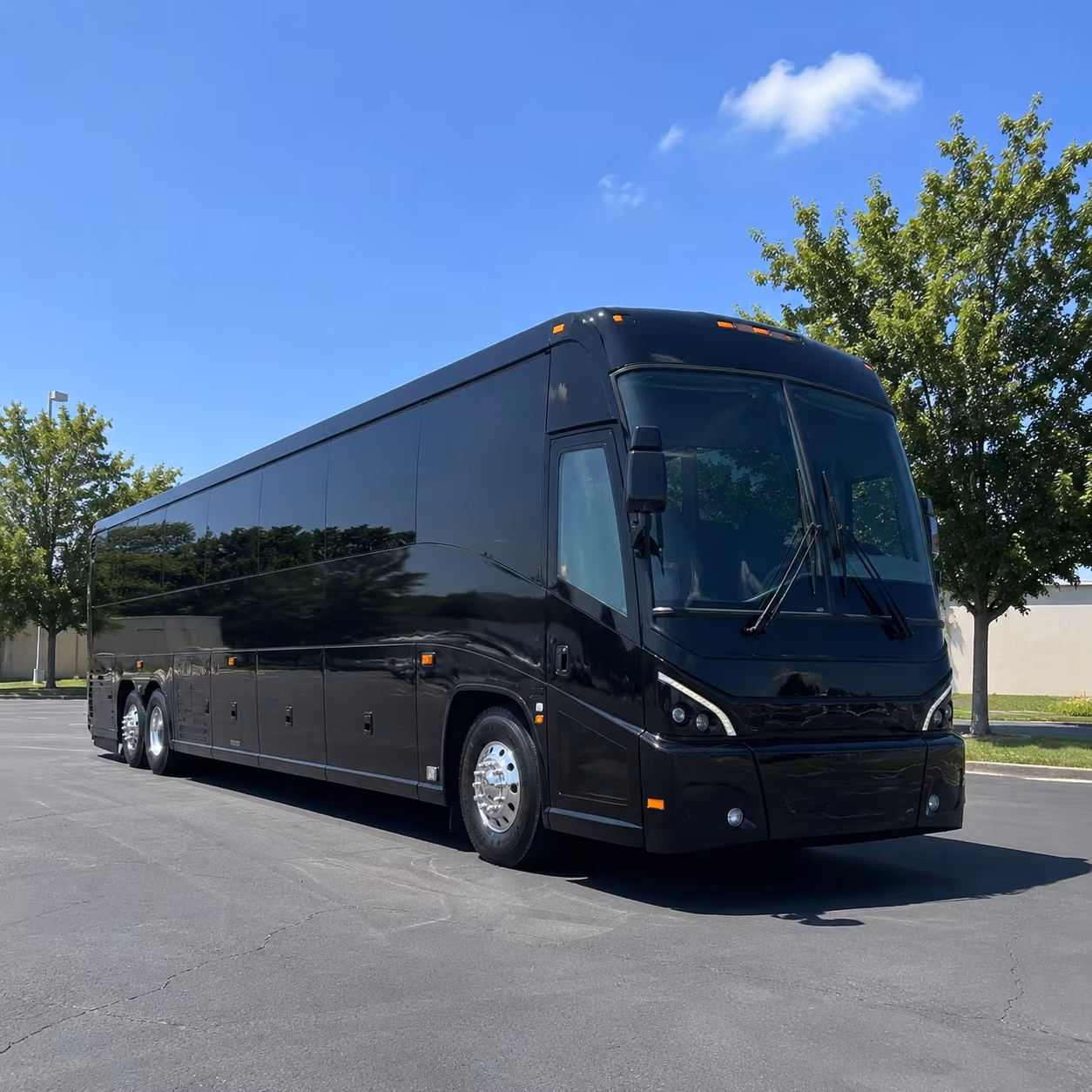 mckinney 56 passenger charter bus
