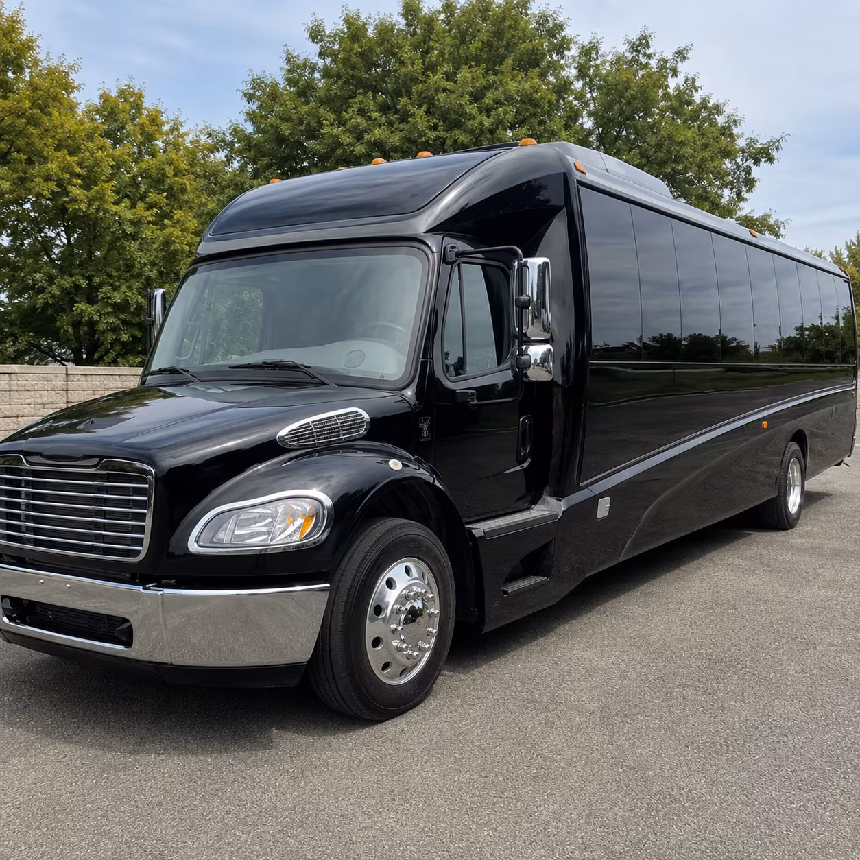 mckinney birthday party transportation